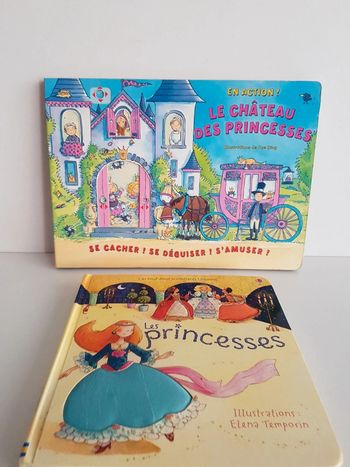 Livres princesses à animer et toucher