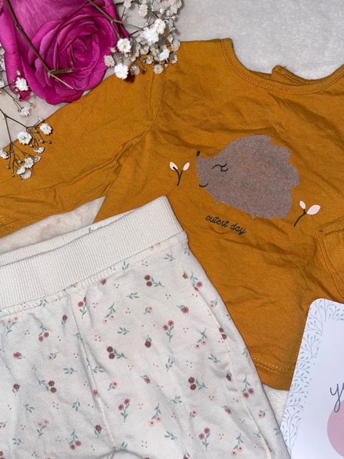 Ensemble fleurie/hérisson 1mois - photo numéro 2