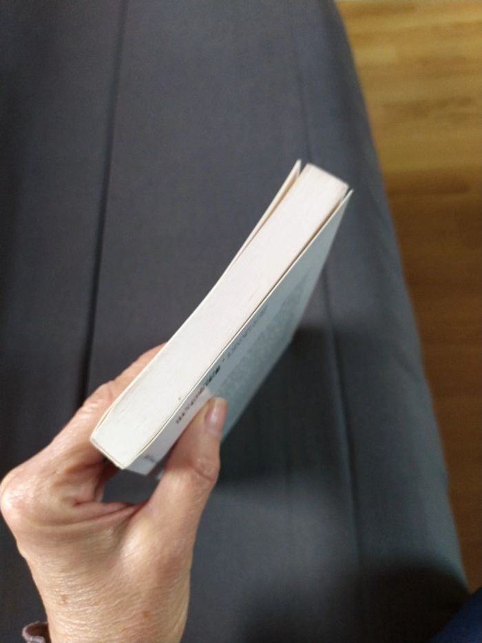 Le Grand Secret de Claude Gubler et Michel Gonod - photo numéro 7