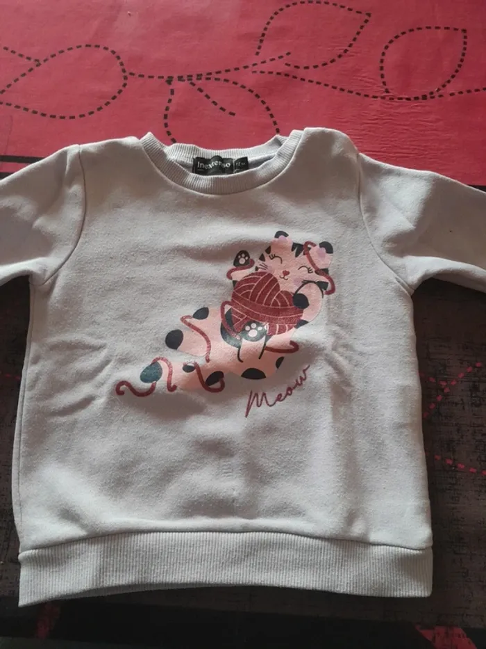 Pull chat couleur parme taille 12 mois