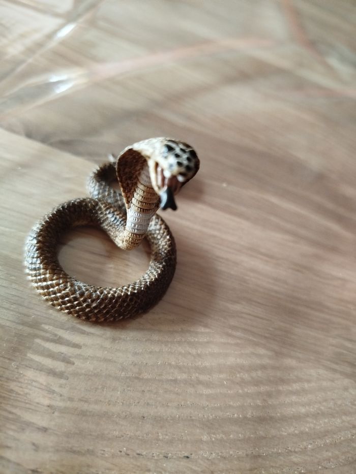Cobra