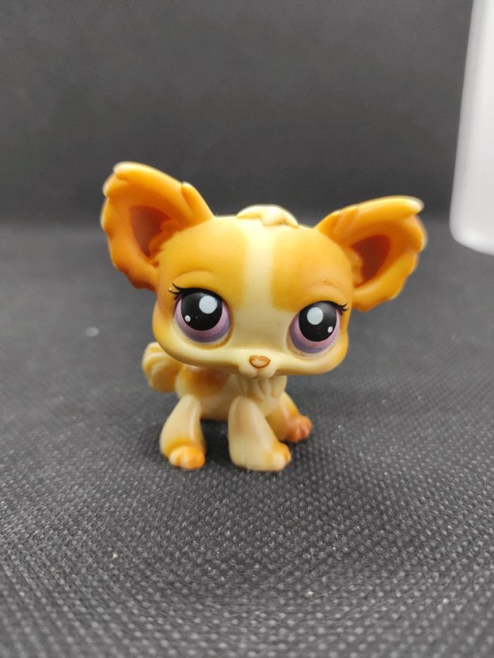 Littlest Petshop LPS dog chien papillon 96 chihuahua hasbro #geektradelpschien