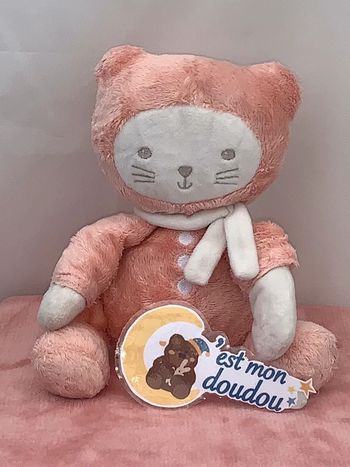 TEX58 doudou chat tex