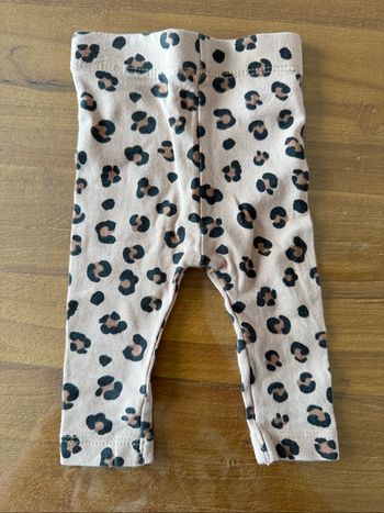 Legging Léopard