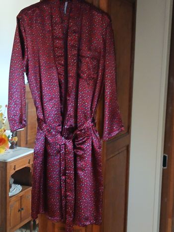 Peignoir ou robe de chambre
