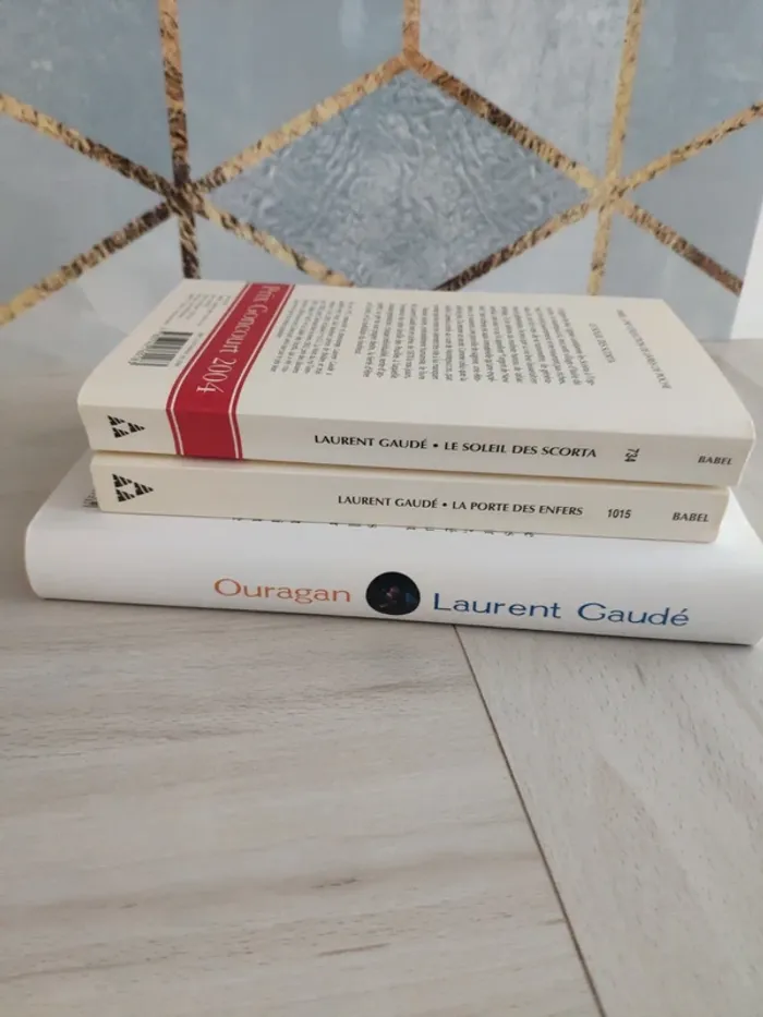 Lot 3 livres Laurent Gaudé soleil des Scorta porte des enfers ouragan - photo numéro 8