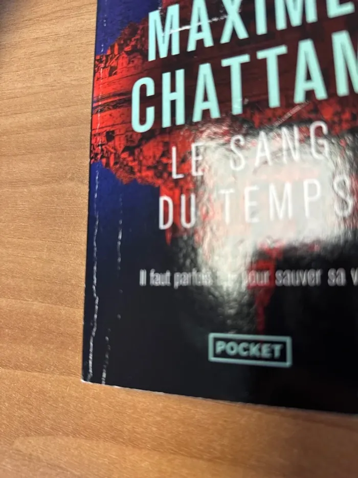 Maxime Chattam le sang du temps - photo numéro 4