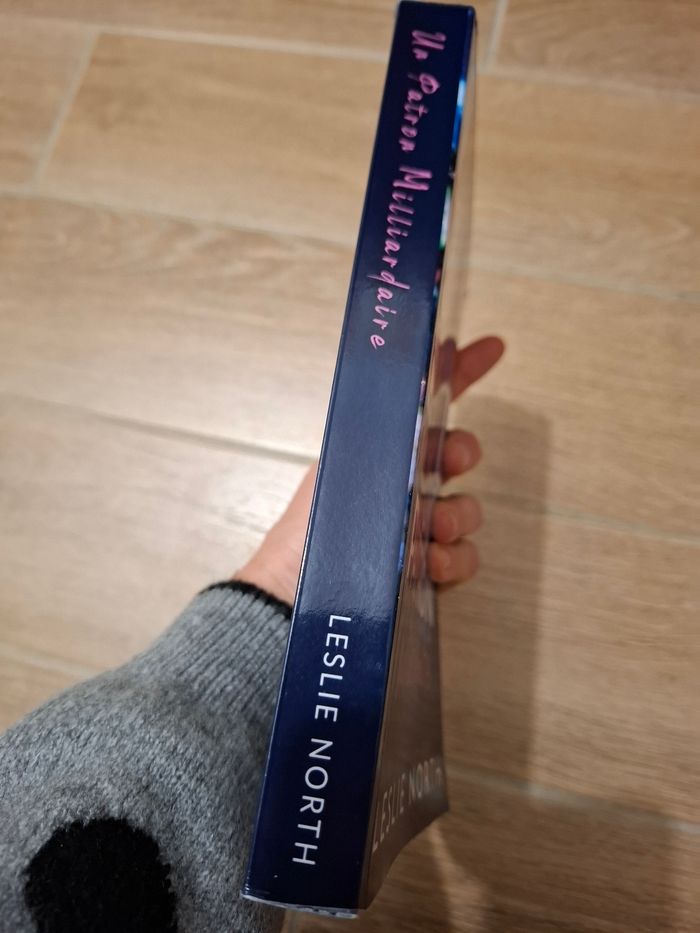 Un patron milliardaire de Leslie North - photo numéro 5