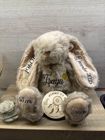 Peluche lapin de naissance