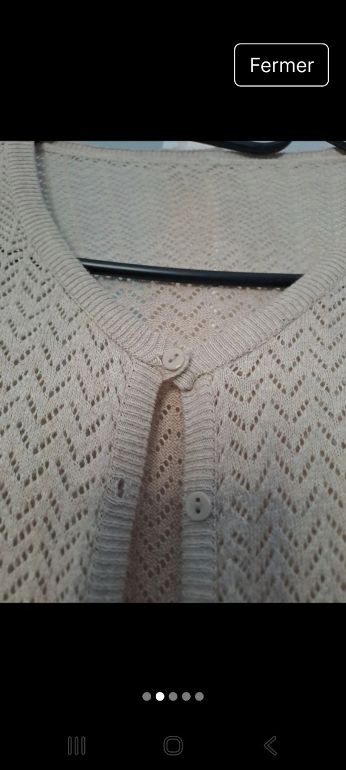 Gilet fin - photo numéro 4