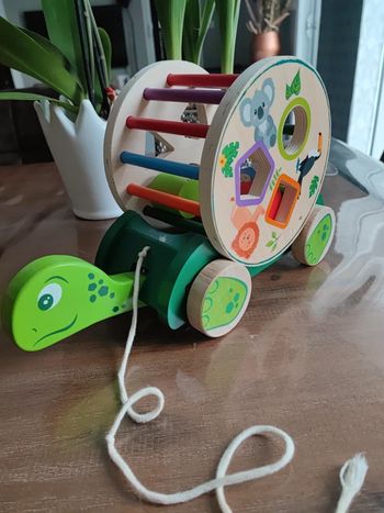 Jouet à tirer Tortue