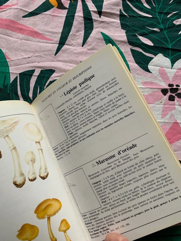 60 champignons 190 recettes - photo numéro 8