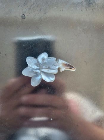 Broche en nacre vintage