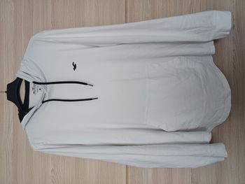 Pull à capuche hollister taille L