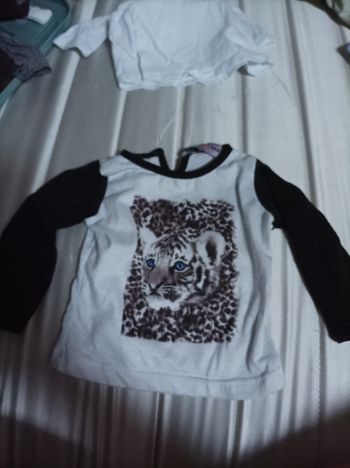 Pull mignon