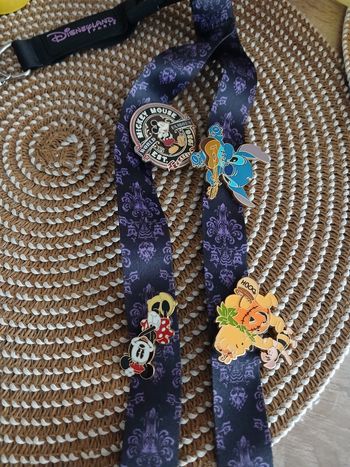 Pîns et tour de cou Disneyland Paris