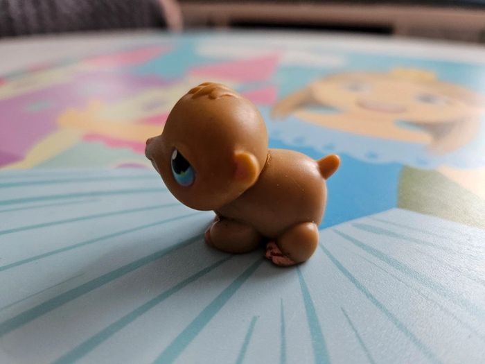 Hamster petshop - photo numéro 2