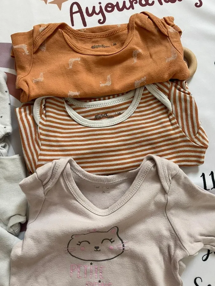 Lot de 6 bodys bébé fille – Gémo – Taille 24 mois - photo numéro 3