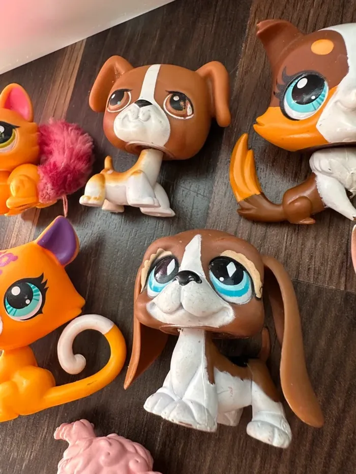 Lot petshop - photo numéro 6