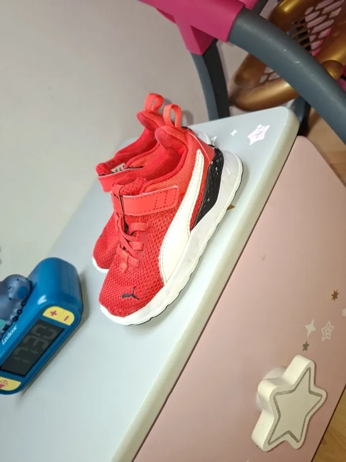 Puma taille 24 - photo numéro 2