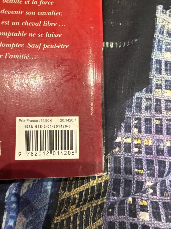 Livre flamme - photo numéro 5