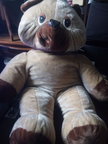 Peluche géante ourson 🐻