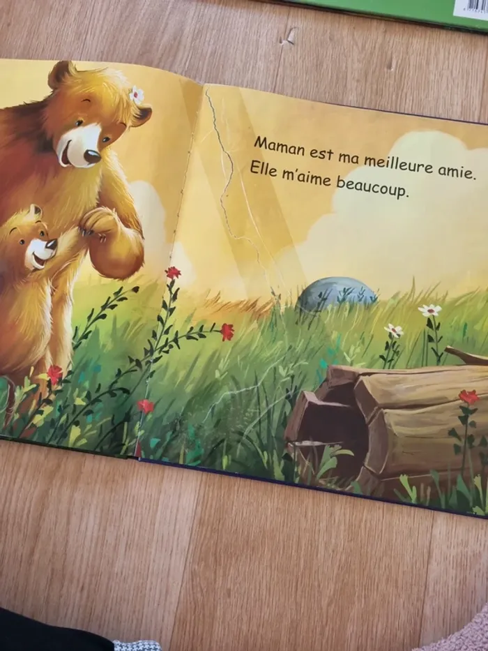 Lot livre papa et maman - photo numéro 3