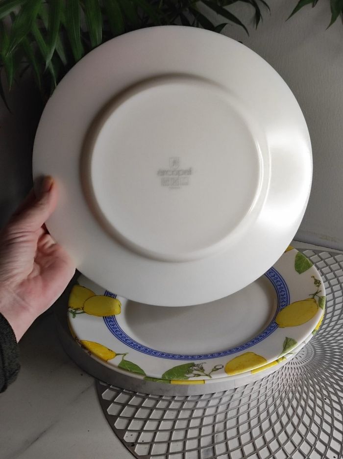 Assiettes plates arcopal citron - photo numéro 2