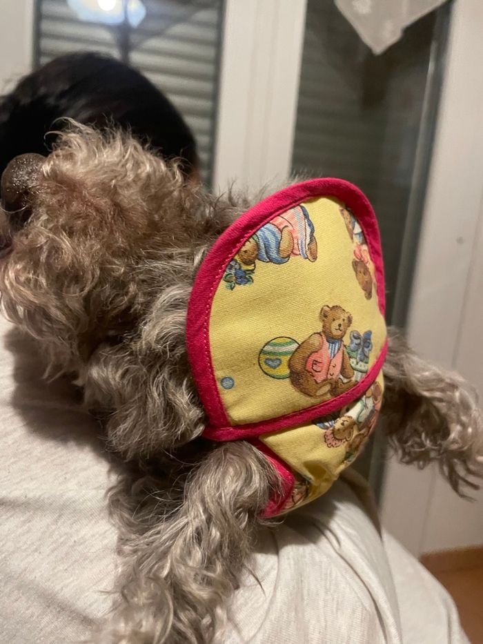 Casquette chien - photo numéro 2