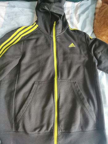 Veste Adidas 