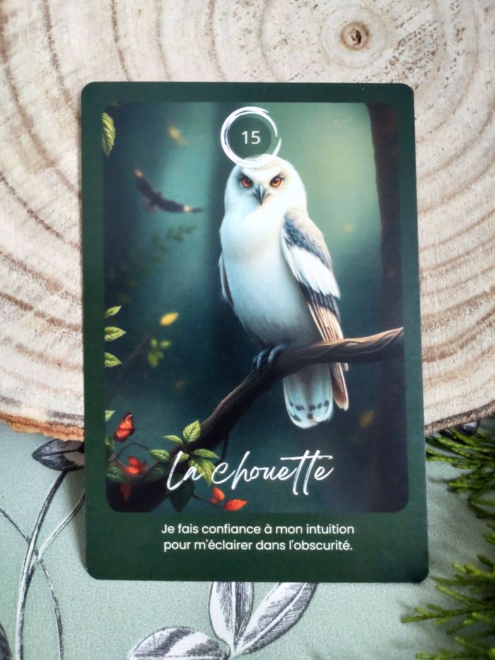 Oracle de la forêt enchantée, jeu divinatoire doux et puissant, Edition Premium 2025 - photo numéro 5