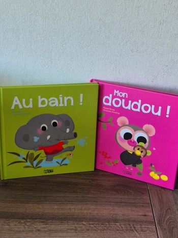 Lot de 2 livres les p'tits amis
