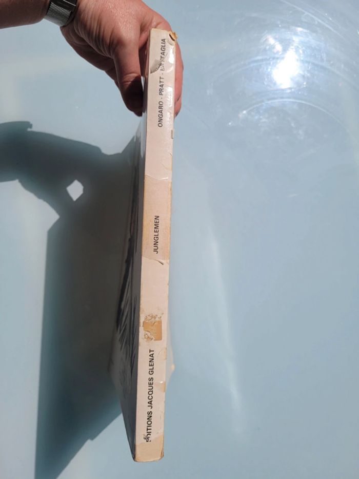 BD EO Cotée Junglemen - photo numéro 10