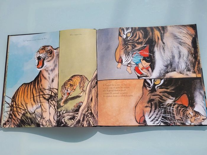 Beau livre grand format dos toilé Le Prince Tigre - photo numéro 7