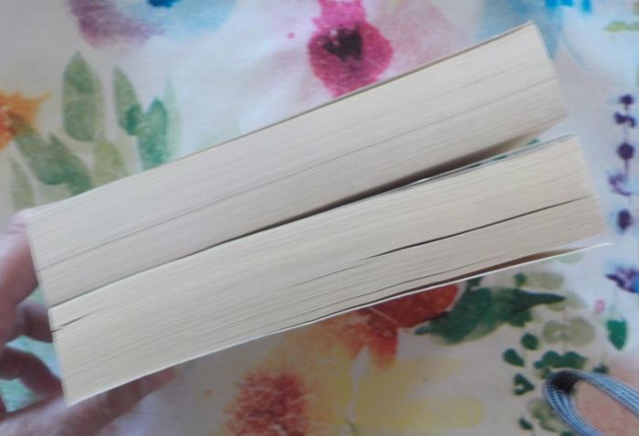 VICTOR HUGO T1&2 par Max GALLO Ed. Pocket - photo numéro 6