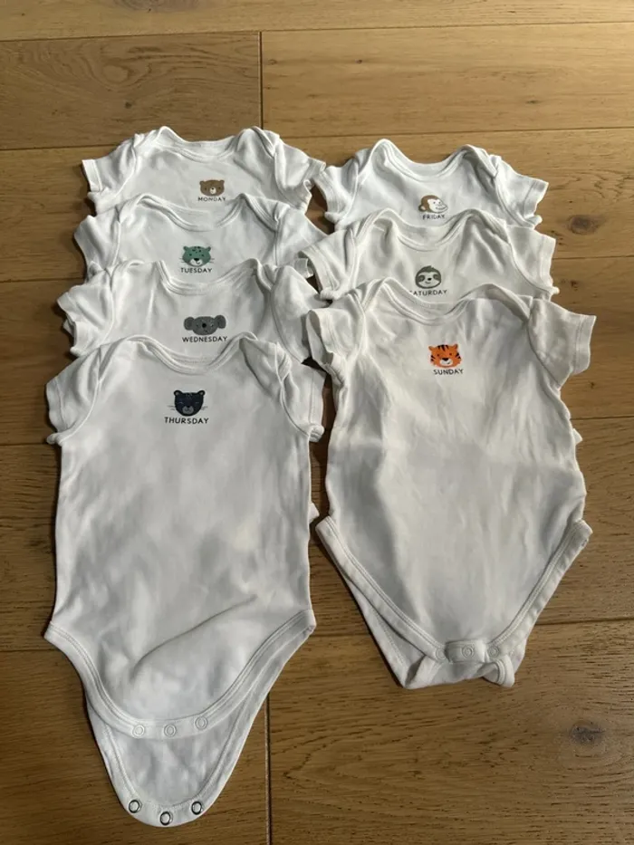 Bodies