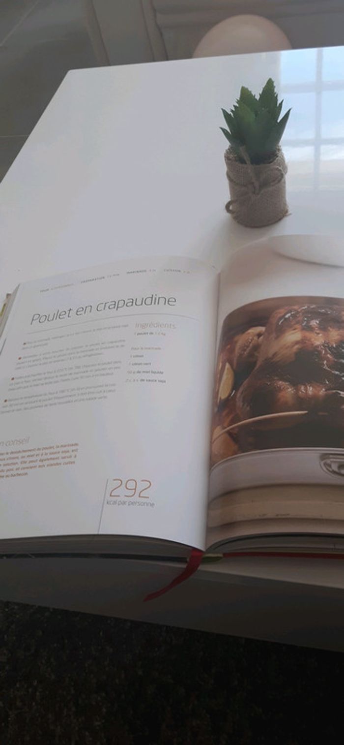 Mes recettes saines et gourmandes - photo numéro 4
