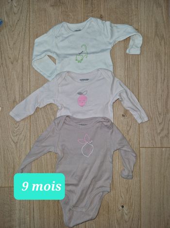 Lot de 3 bodies