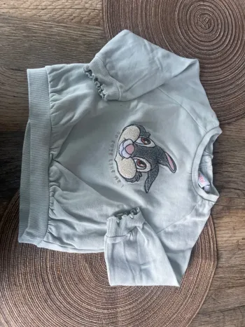 Pull pan pan fille 24 mois