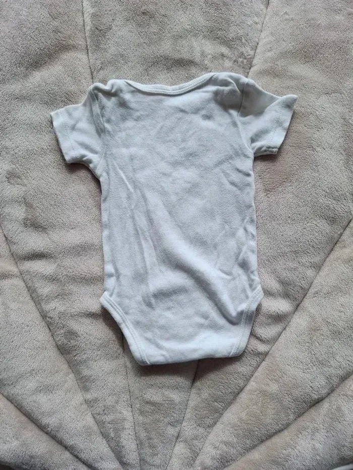 lot bodies - photo numéro 3