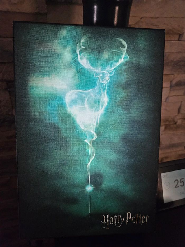 Cadre toile harry potter