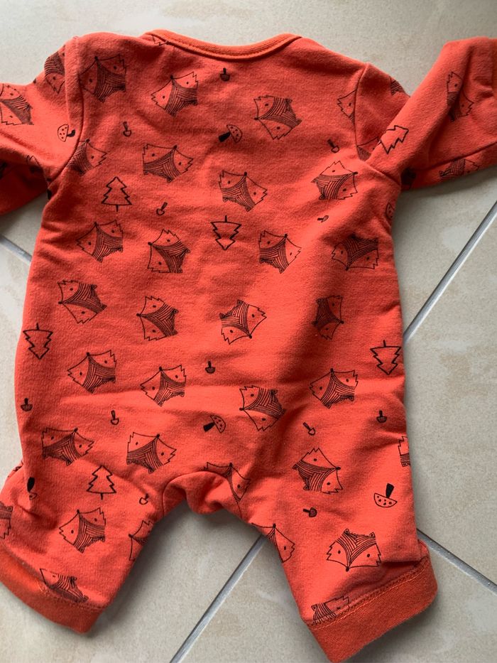 Barboteuse renard - photo numéro 4