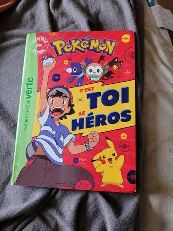 Pokemon c est toi le heros