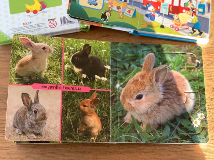 Lot livres puzzle et apprentissage - photo numéro 9