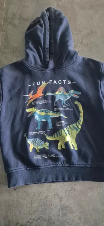Pull a capuche Dinosaures garcon