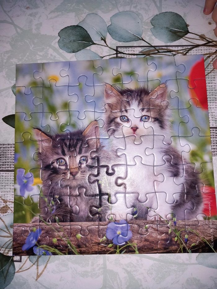Ensemble de 3 puzzles chats ravensburger - photo numéro 5