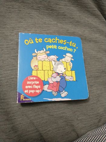 Livre où te caches-tu petit cochon
