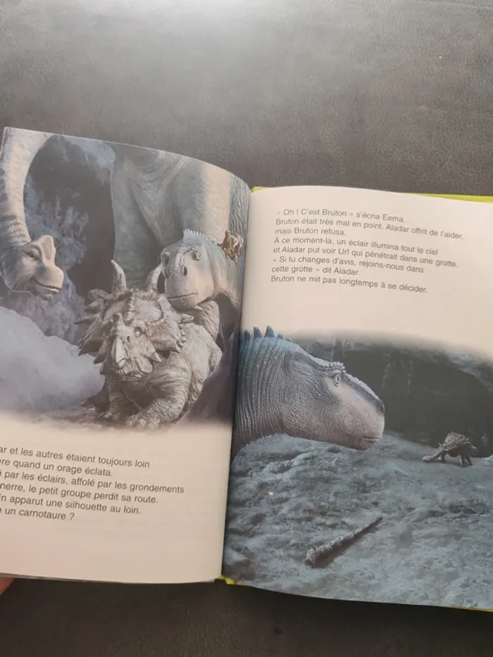 Livre dinosaure - photo numéro 3