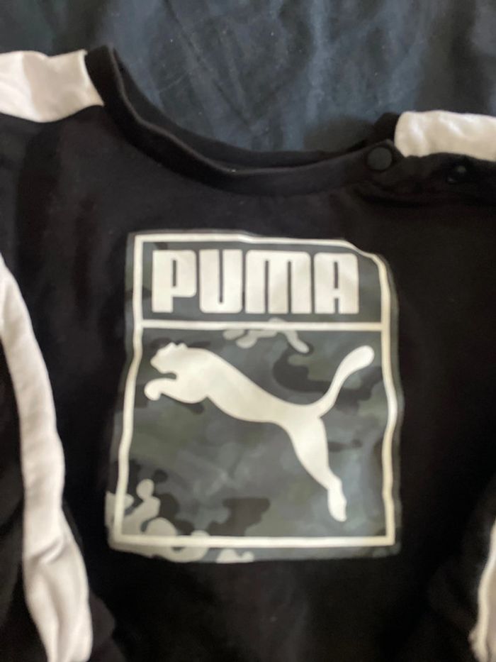 Ensemble puma - photo numéro 2