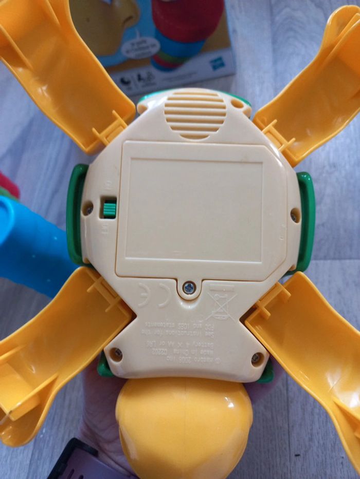 Topsy la tortue - photo numéro 6